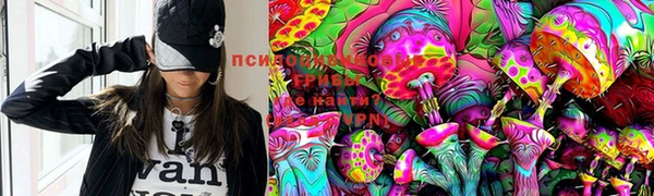 герыч Бронницы